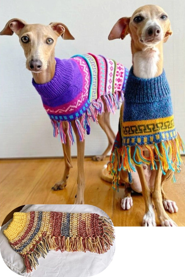 DIY Mimos para Seu Cachorro: Roupinhas, Bolos e Ideias Criativas para Pets