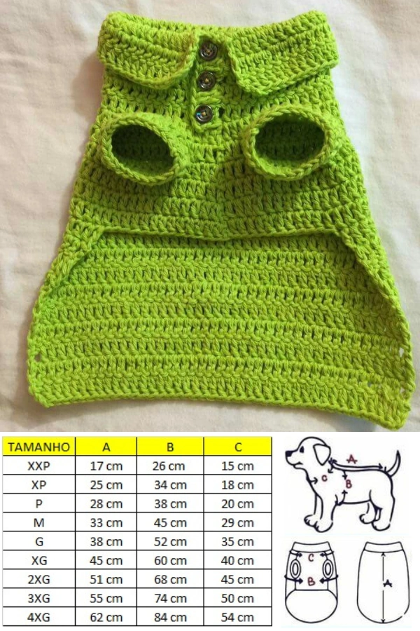 DIY Mimos para Seu Cachorro: Roupinhas, Bolos e Ideias Criativas para Pets