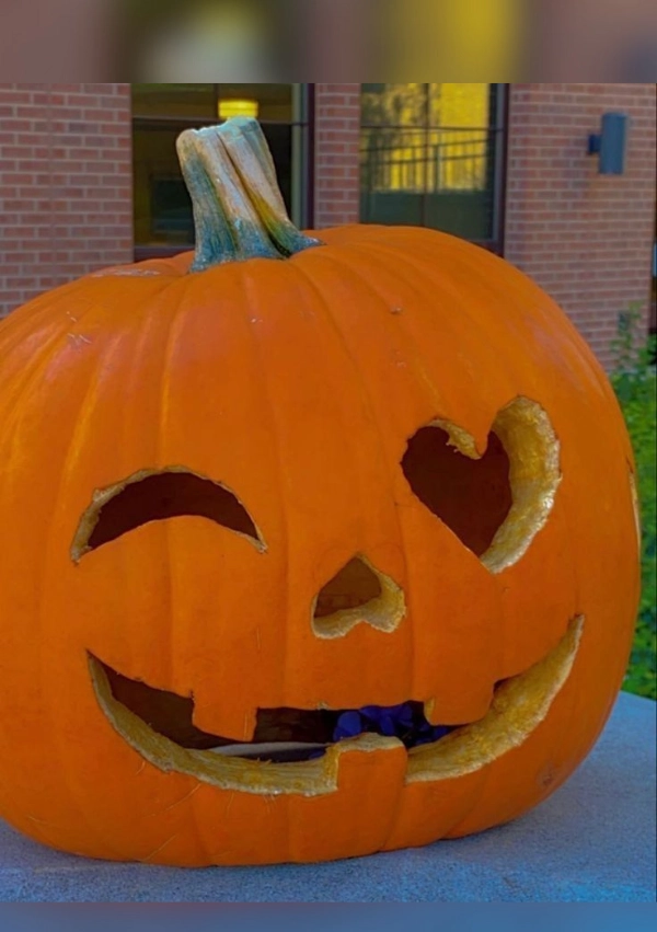Decoração de Abóboras para o Halloween: 21 Inspirações Criativas e Divertidas