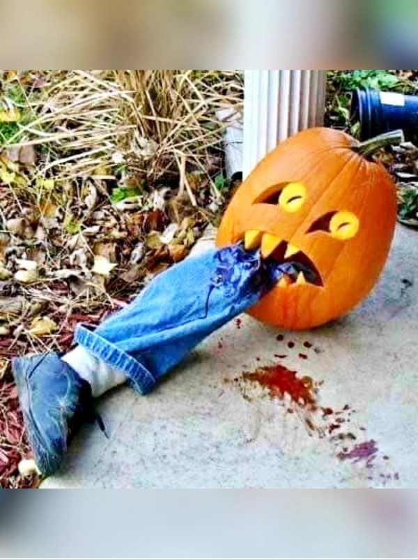 Decoração de Abóboras para o Halloween: 21 Inspirações Criativas e Divertidas