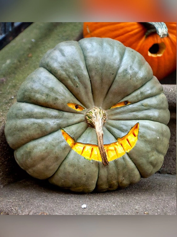 Decoração de Abóboras para o Halloween: 21 Inspirações Criativas e Divertidas
