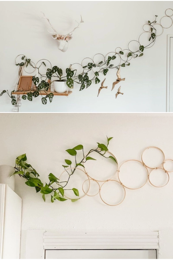 🌱 Arte Viva com Plantas: 24 Jeitos Incríveis de Decorar Suas Paredes e Ambientes