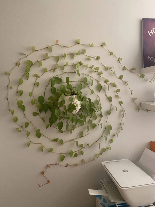 🌱 Arte Viva com Plantas: 24 Jeitos Incríveis de Decorar Suas Paredes e Ambientes
