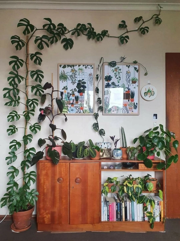 🌱 Arte Viva com Plantas: 24 Jeitos Incríveis de Decorar Suas Paredes e Ambientes
