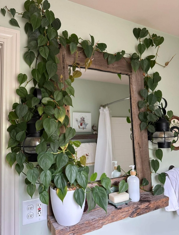 🌱 Arte Viva com Plantas: 24 Jeitos Incríveis de Decorar Suas Paredes e Ambientes