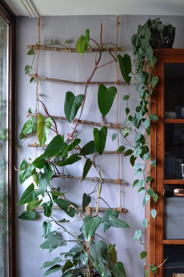 🌱 Arte Viva com Plantas: 24 Jeitos Incríveis de Decorar Suas Paredes e Ambientes