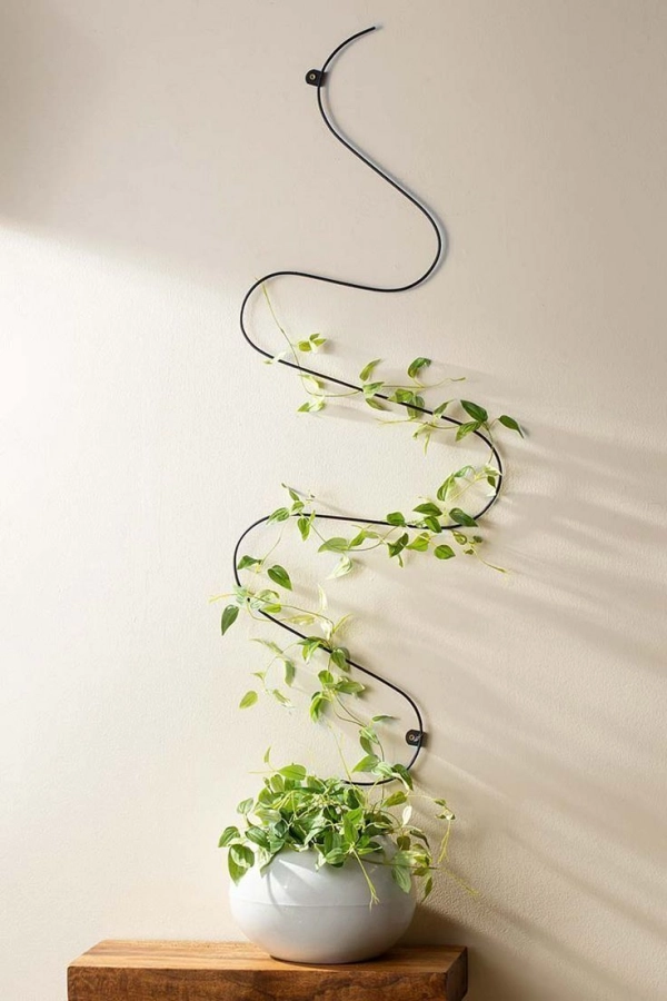 🌱 Arte Viva com Plantas: 24 Jeitos Incríveis de Decorar Suas Paredes e Ambientes