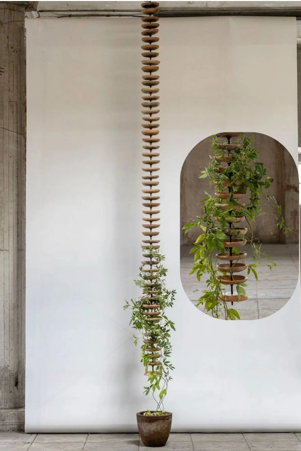 🌱 Arte Viva com Plantas: 24 Jeitos Incríveis de Decorar Suas Paredes e Ambientes