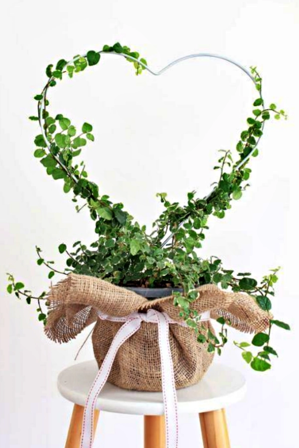 🌱 Arte Viva com Plantas: 24 Jeitos Incríveis de Decorar Suas Paredes e Ambientes