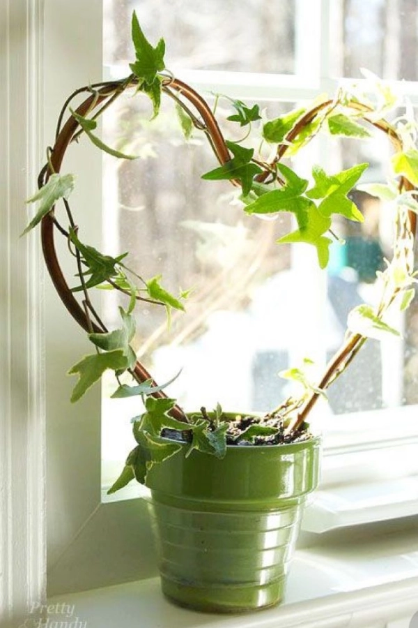 🌱 Arte Viva com Plantas: 24 Jeitos Incríveis de Decorar Suas Paredes e Ambientes