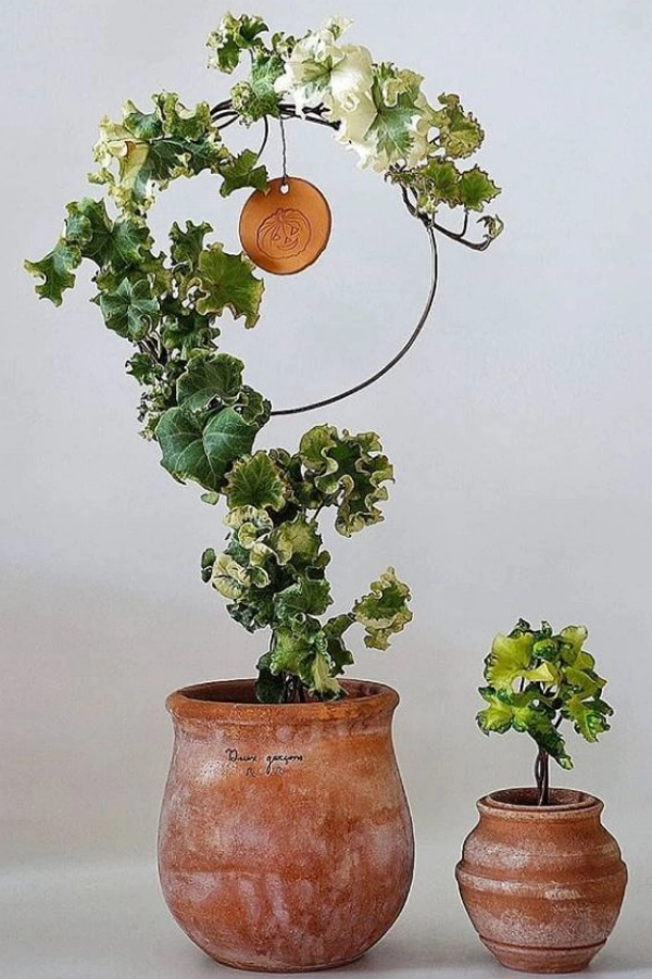 🌱 Arte Viva com Plantas: 24 Jeitos Incríveis de Decorar Suas Paredes e Ambientes