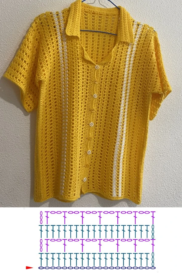 Blusas Estilo Camisa de Crochê que Encantam