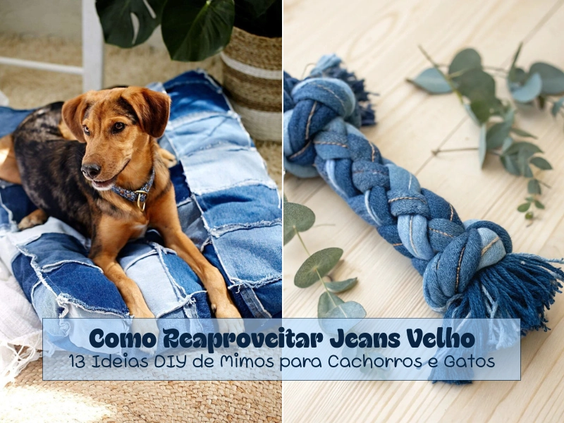 🐶Como Reaproveitar Jeans Velho: 12 Ideias Criativas para Fazer Mimos para Cachorros e Gatos