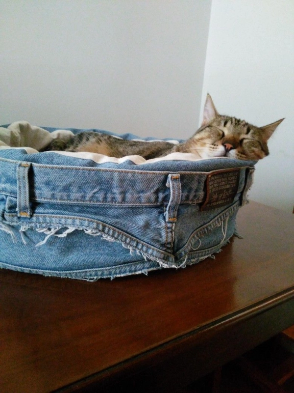 🐶Como Reaproveitar Jeans Velho: 12 Ideias Criativas para Fazer Mimos para Cachorros e Gatos