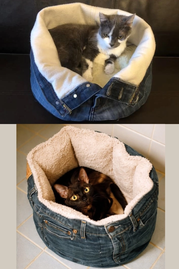 🐶Como Reaproveitar Jeans Velho: 12 Ideias Criativas para Fazer Mimos para Cachorros e Gatos