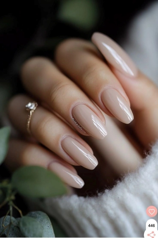 💅Mãos Bonitas: 22 Unhas Nude Elegantes que Valorizam Peles Claras e Morenas