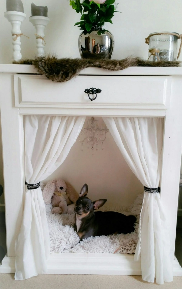 🐶🐱Cantinho para Cachorro e Gato: Ideias Fofas e Criativas para Pets