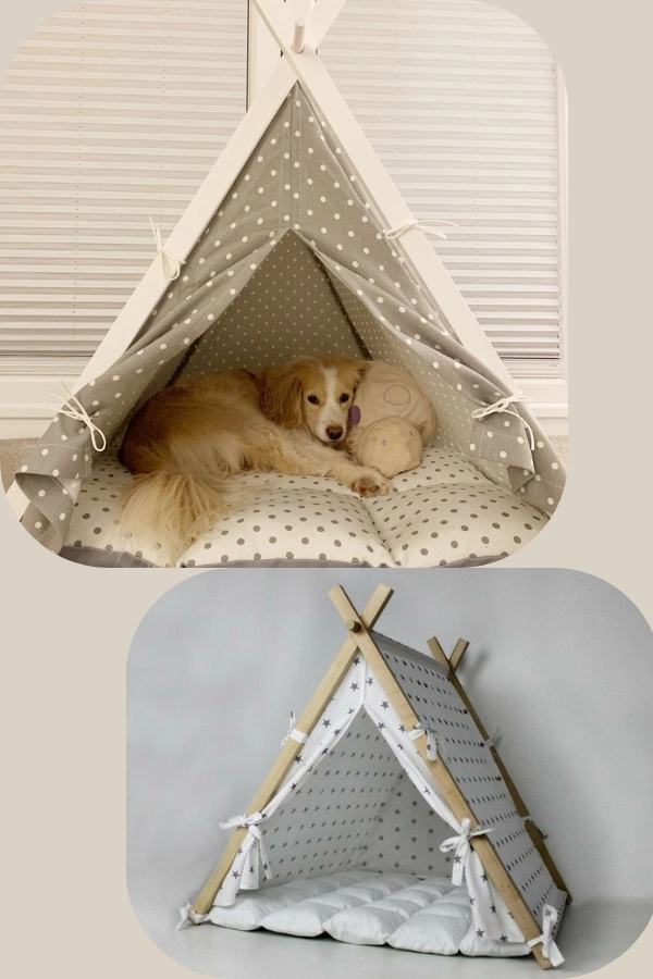 🐶🐱Cantinho para Cachorro e Gato: Ideias Fofas e Criativas para Pets