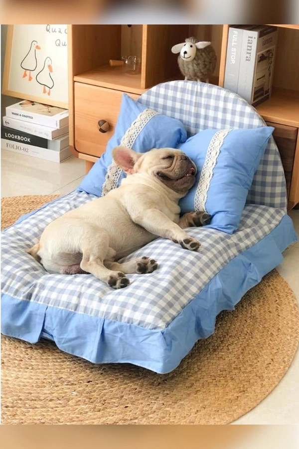 🐶🐱Cantinho para Cachorro e Gato: Ideias Fofas e Criativas para Pets