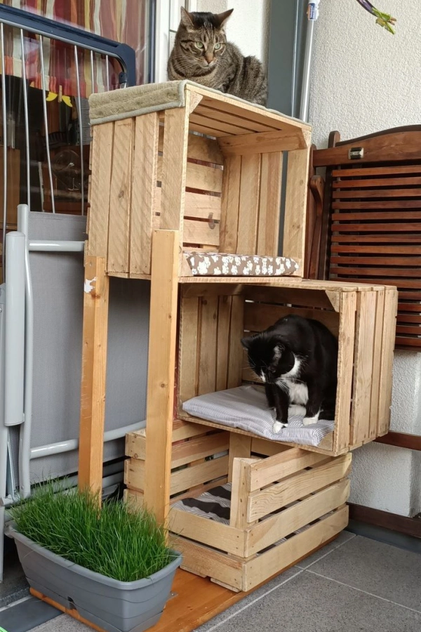 🐶🐱Cantinho para Cachorro e Gato: Ideias Fofas e Criativas para Pets
