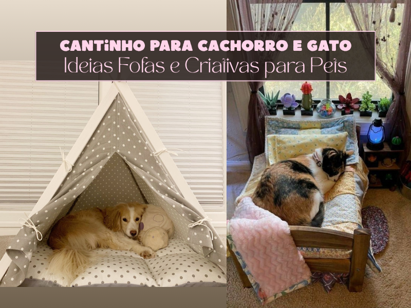 🐶🐱Cantinho para Cachorro e Gato: Ideias Fofas e Criativas para Pets